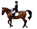 cheval-monte.gif; 26 Ko